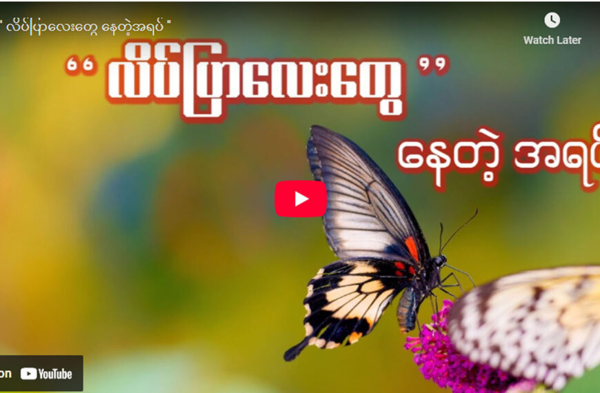” လိပ်ပြာလေးတွေ နေတဲ့အရပ် ‘