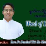 ဖာသာရ် Paschal သီကိုရှင်း(စလေးရှင်း) သာမန်ကာလ (၃၂) ကြိမ်မြောက် အင်္ဂါနေ့ သြဝါဒ ၈၊ ၁၁၊ ၂၀၂၂