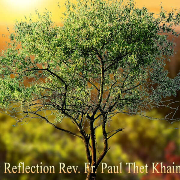 ဖာသာရ် Paul Thet Khaing (မန္တလေး) ၂၉ ကြိမ်မြောက်သာမန်ကာလ စနေနေ့ဩဝါဒ ၂၆၊ ၁၀၊ ၂၀၂၄