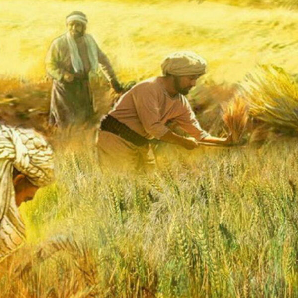 ဖာသာရ် Paul Thet Khaing (မန္တလေး) ၁၆ကြိမ်မြောက်သာမန်ကာလ စနေနေ့ဩဝါဒ ၂၇၊ ၇၊ ၂၀၂၄