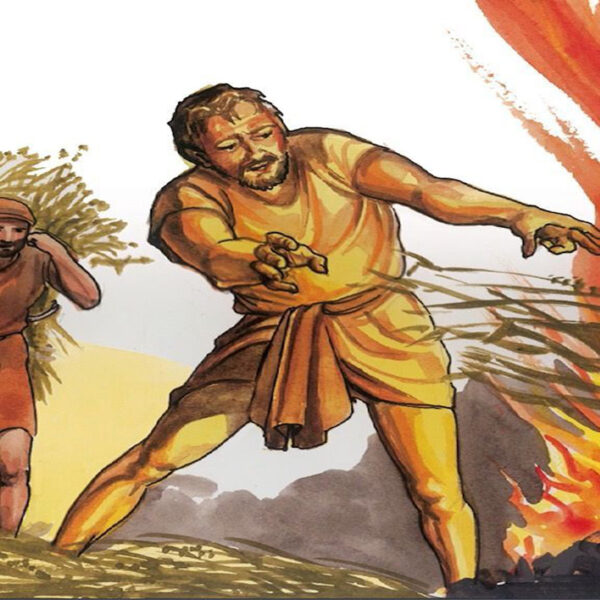 ဖာသာရ် Peter ကြည်မောင် (မန္တလေး) ၁၇ ကြိမ်မြောက်သာမန်ကာလ အင်္ဂါနေ့ဩဝါဒ ၃၀၊ ၇၊ ၂၀၂၄
