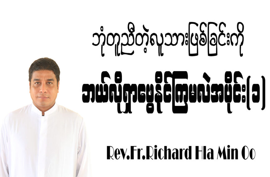 မတူကွဲ ပြားခြင်းများကို ကြိုဆိုရင်း ဘုံတူညီတဲ့ လူသားဖြစ်ခြင်းကို ဘယ်လိုရှာဖွေနိုင်ကြမလဲ အပိုင်း(၁)