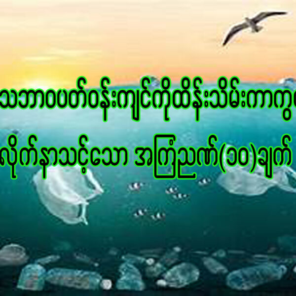 ” သဘာဝပတ်ဝန်းကျင် ထိန်းသိမ်းကာကွယ်ရန် လိုက်နာသင့်သော အကြံဉာဏ် ၁၀ ချက် “