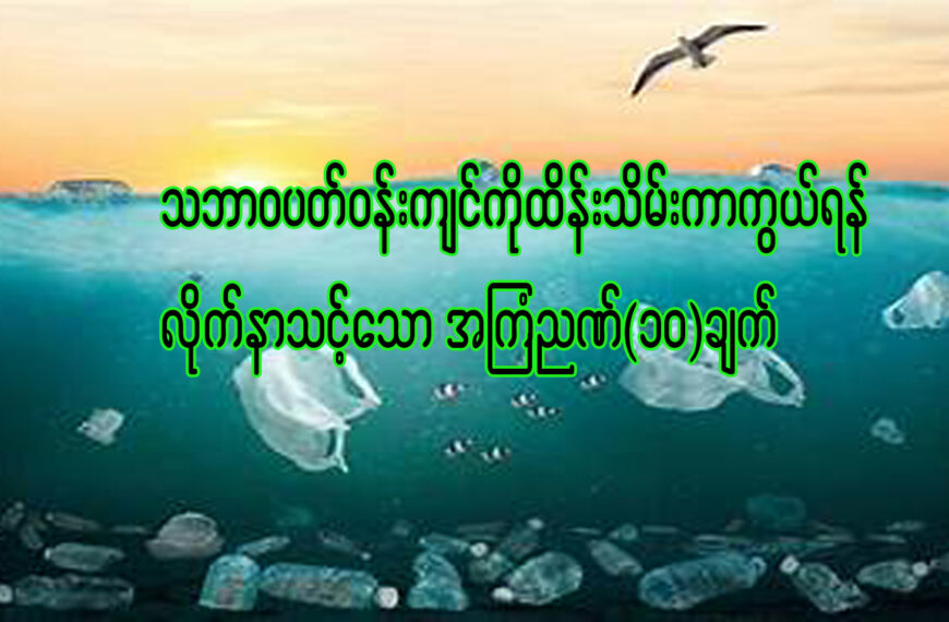 ” သဘာဝပတ်ဝန်းကျင် ထိန်းသိမ်းကာကွယ်ရန် လိုက်နာသင့်သော အကြံဉာဏ် ၁၀ ချက် “