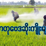 ဓာတုဗေဒ ဆိုးကျိုးများ