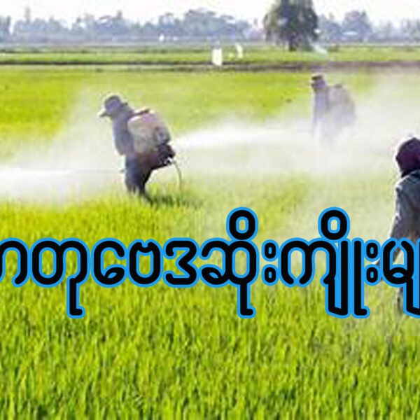 ဓာတုဗေဒ ဆိုးကျိုးများ