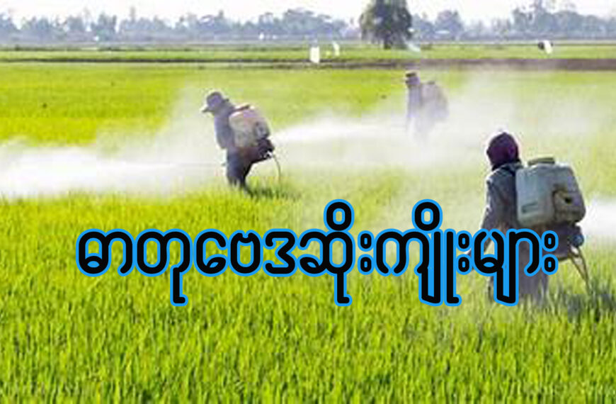 ဓာတုဗေဒ ဆိုးကျိုးများ