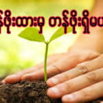 တန်ဖိုးထားမှ တန်ဖိုးရှိမယ်