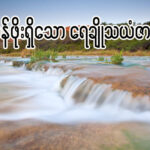 တန်ဖိုးရှိသော ရေချို သယံဇာတ