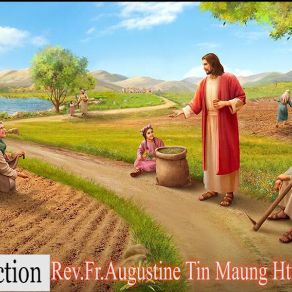 ဖာသာရ် Augustine တင်မောင်ထွန်း (မန္တလေး) ၃၃ ကြိမ်မြောက်သာမန်ကာလ တနင်္ဂနွေနေ့ဩဝါဒ ၁၇၊ ၁၁၊ ၂၀၂၄
