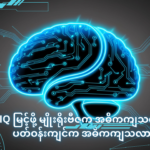 IQ မြင့်ဖို့ မျိုးရိုးဗီဇက အဓိကကျသလား ပတ်ဝန်းကျင်က အဓိကကျသလား