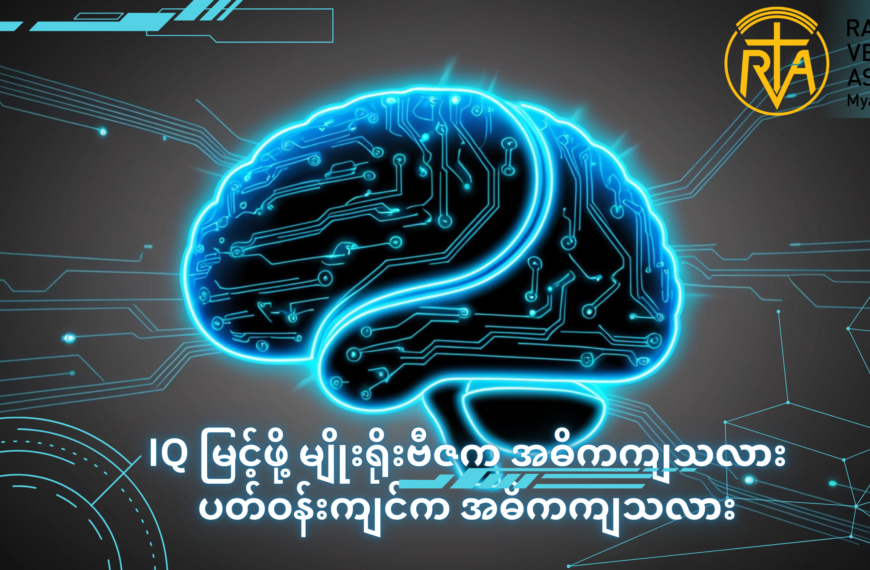 IQ မြင့်ဖို့ မျိုးရိုးဗီဇက အဓိကကျသလား ပတ်ဝန်းကျင်က အဓိကကျသလား