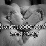 ဇနီးမယားတစ်ယောက်ရဲ့ အိမ်ထောင်တစ်ခုမှာ ပါဝင်တဲ့ အခန်းကဏ္ဍ