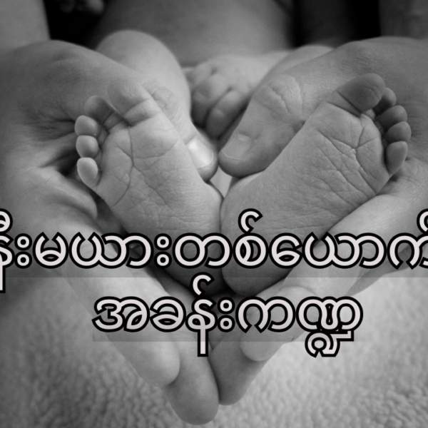 ဇနီးမယားတစ်ယောက်ရဲ့ အိမ်ထောင်တစ်ခုမှာ ပါဝင်တဲ့ အခန်းကဏ္ဍ