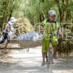အခက်အခဲကို တောင့်ခံနိုင်သောစိတ်
