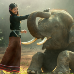 အပ်ပျောက်ရင်ဆင်နဲ့ရှာ
