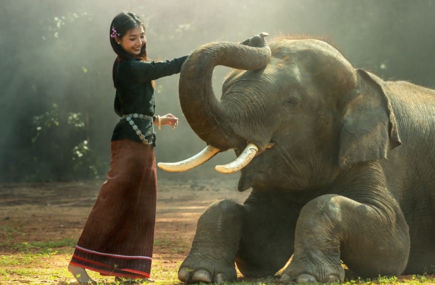 အပ်ပျောက်ရင်ဆင်နဲ့ရှာ