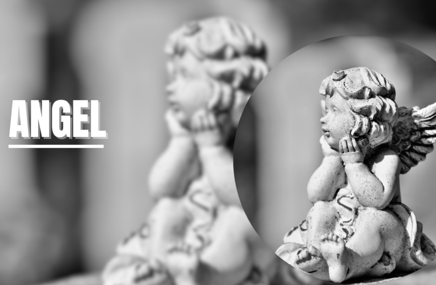 ကိုယ်စောင့်သိကြားများအကြောင်း