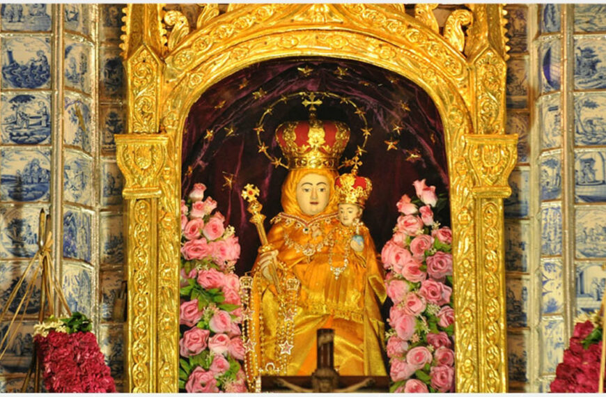 ဗေလန်ကန်နီကျန်းမာခြင်းမယ်တော််သခင်မ