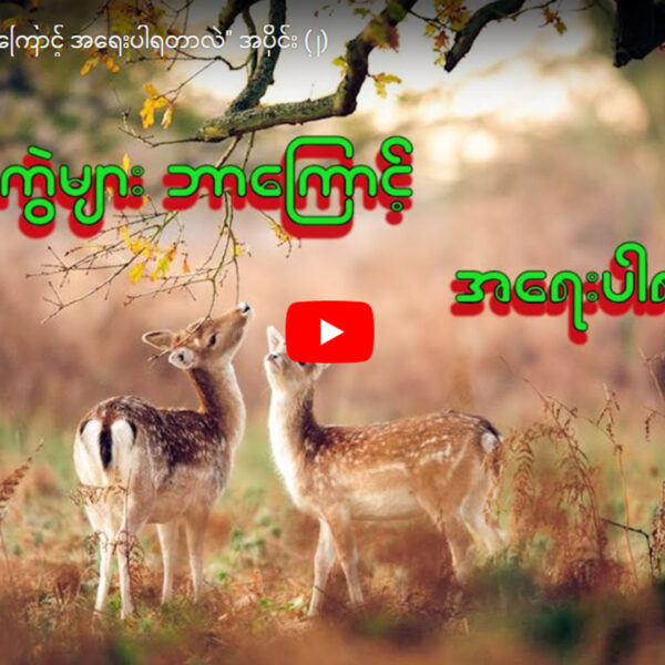 ဇီဝမျိုးကွဲများ ဘာကြောင့် အရေးပါရတာလဲ” အပိုင်း (၂)
