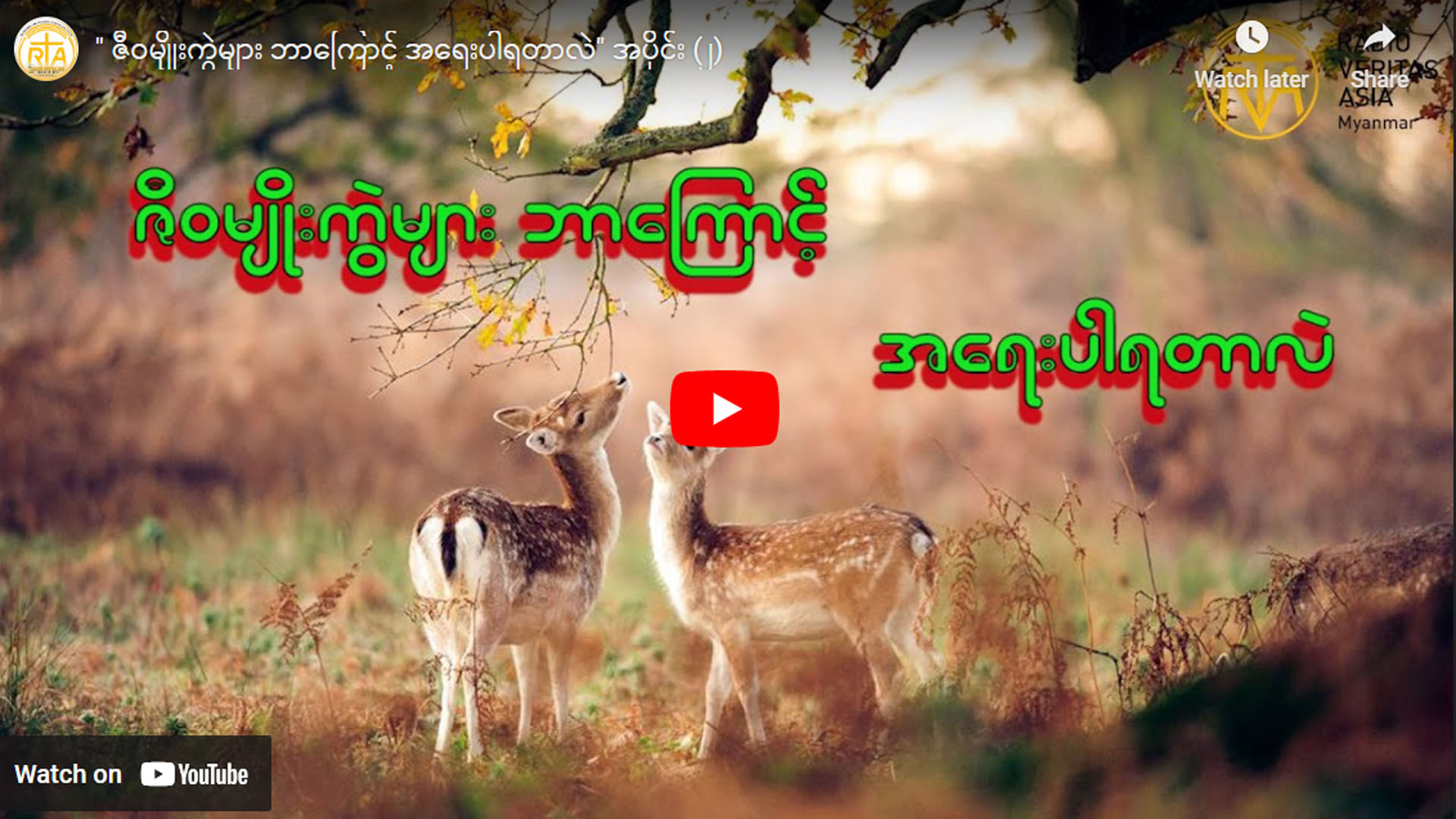 ဇီဝမျိုးကွဲများ ဘာကြောင့် အရေးပါရတာလဲ” အပိုင်း (၂)