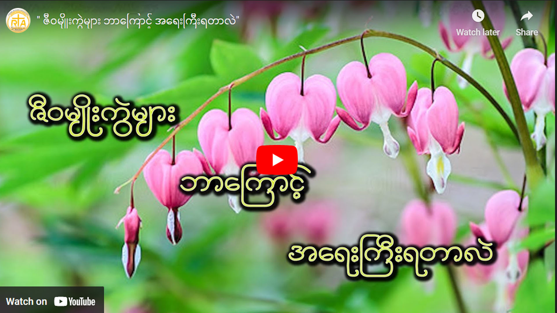 ဇီဝမျိုးကွဲများ ဘာကြောင့် အရေးပါရတာလဲ” အပိုင်း (၁)