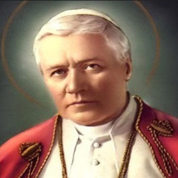 ရဟန်းမင်းကြီး ဒသမမြောက် ပီအူး၏ ပြောစကားများသည် ကက်သလစ်များ အတွက် ခွန်အားယူဖွယ် ဖြစ်သည်။