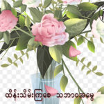 အလှထိုးပန်းအိုးအတွက် ပန်းကြာရှည်ခံအောင်းထားနည်း