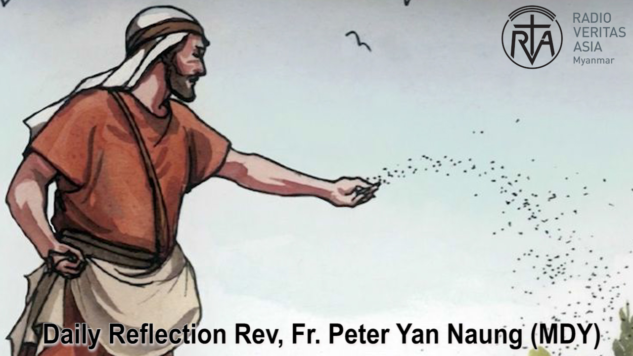 ဖာသာရ်. Peter Yan Naung (မန္တလေး) သာမန်ကာလတတိယသီတင်းပတ်ဗုဒ္ဓဟူးဩဝါဒ ၂၉၊ ၁၊ ၂၀၂၅