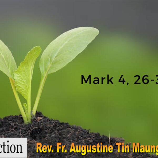ဖာသာရ် Augustine Tin Maung Htun (မန္တလေး) သာမန်ကာလတတိယသီတင်းပတ်သောကြာနေ့ဩဝါဒ ၃၁၊ ၁၊ ၂၀၂၅