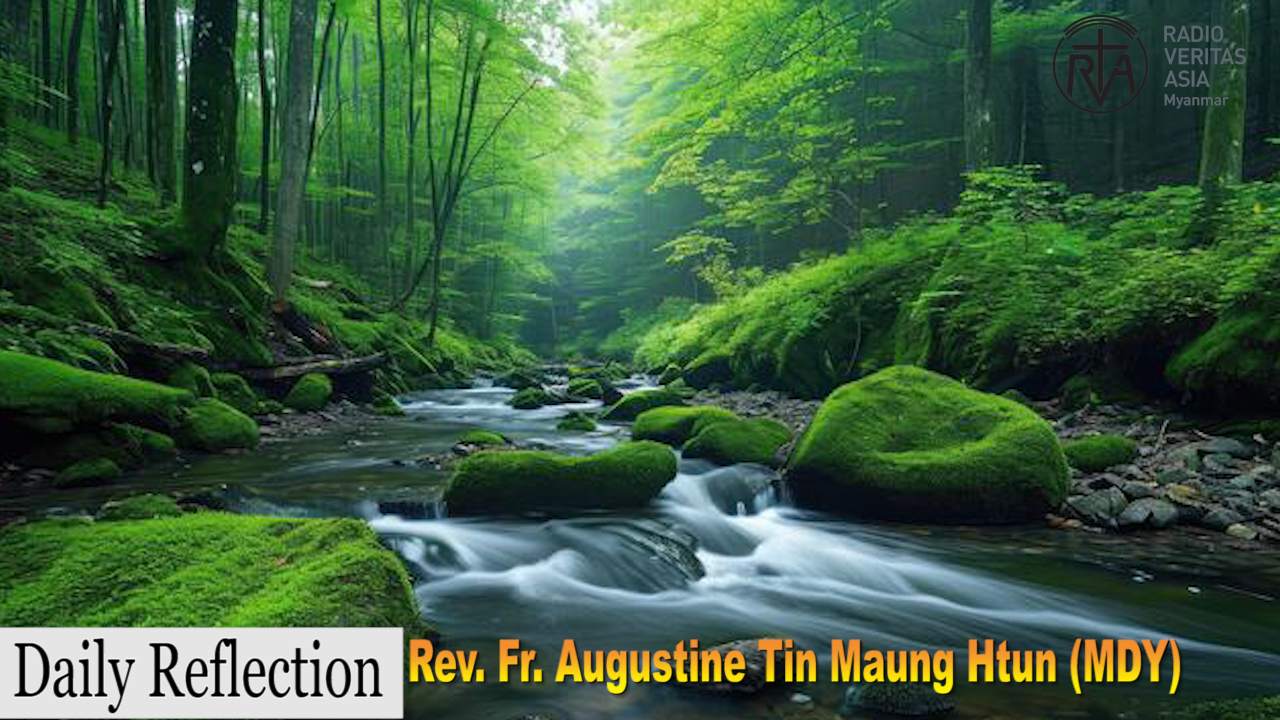 ဖာသာရ် Augustine တင်မောင်ထွန်း (မန္တလေး) သာမန်ကာလဆဌမတနင်္ဂနွေနေ့ဩဝါဒ ၁၆၊ ၂၊ ၂၀၂၅