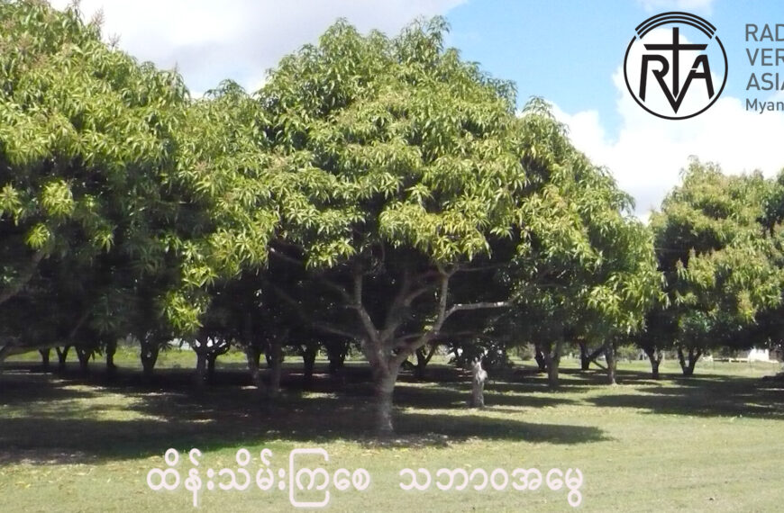 သရက်ရွက်ဖုပြဿနာ ဘယ်လိုဖြေရှင်းမလဲ