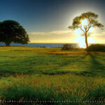 ဉာဏ်ကိုအလွဲသုံးစားလုပ်ခြင်း