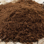 သစ်ဆွေးမြေဩဇာပြုလုပ်နည်း