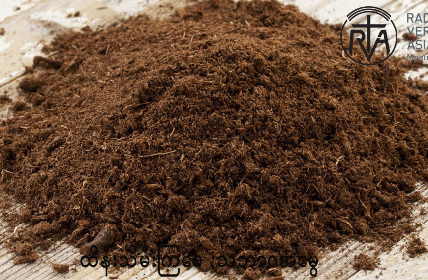 သစ်ဆွေးမြေဩဇာပြုလုပ်နည်း