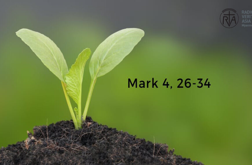 ဖာသာရ် Augustine တင်မောင်ထွန်း (မန္တလေး) ၁၁ကြိမ်မြောက်သာမန်ကာလ တနင်္ဂနွေနေ့ဩဝါဒ ၁၆၊ ၆၊ ၂၀၂၄