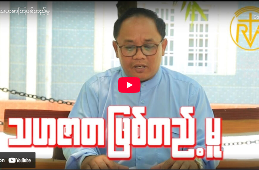 မတူကွဲပြားမူများအကြားပူတွဲနေထိုင်နိုင်ရေး/သဟဇာတဖြစ်တည့်မူ