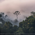 သံသယအန္တရာယ်