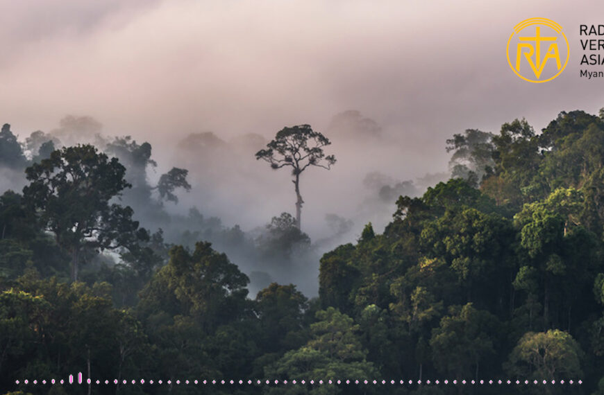 သံသယအန္တရာယ်