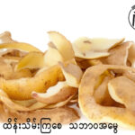 အာလူးခွံတွေကို လွှင့်မပစ်ဘဲ အပင်တွေမှာ ပြန်သုံးကြည့်ရအောင်