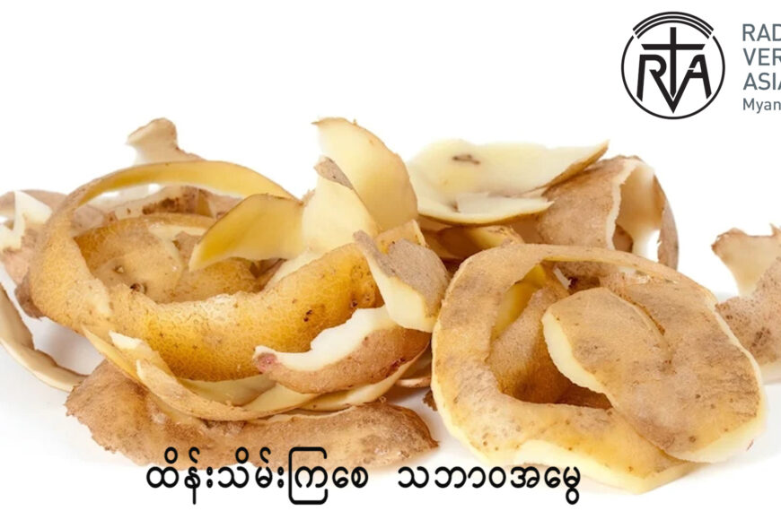 အာလူးခွံတွေကို လွှင့်မပစ်ဘဲ အပင်တွေမှာ ပြန်သုံးကြည့်ရအောင်