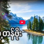 လူ့တန်ဖိုး