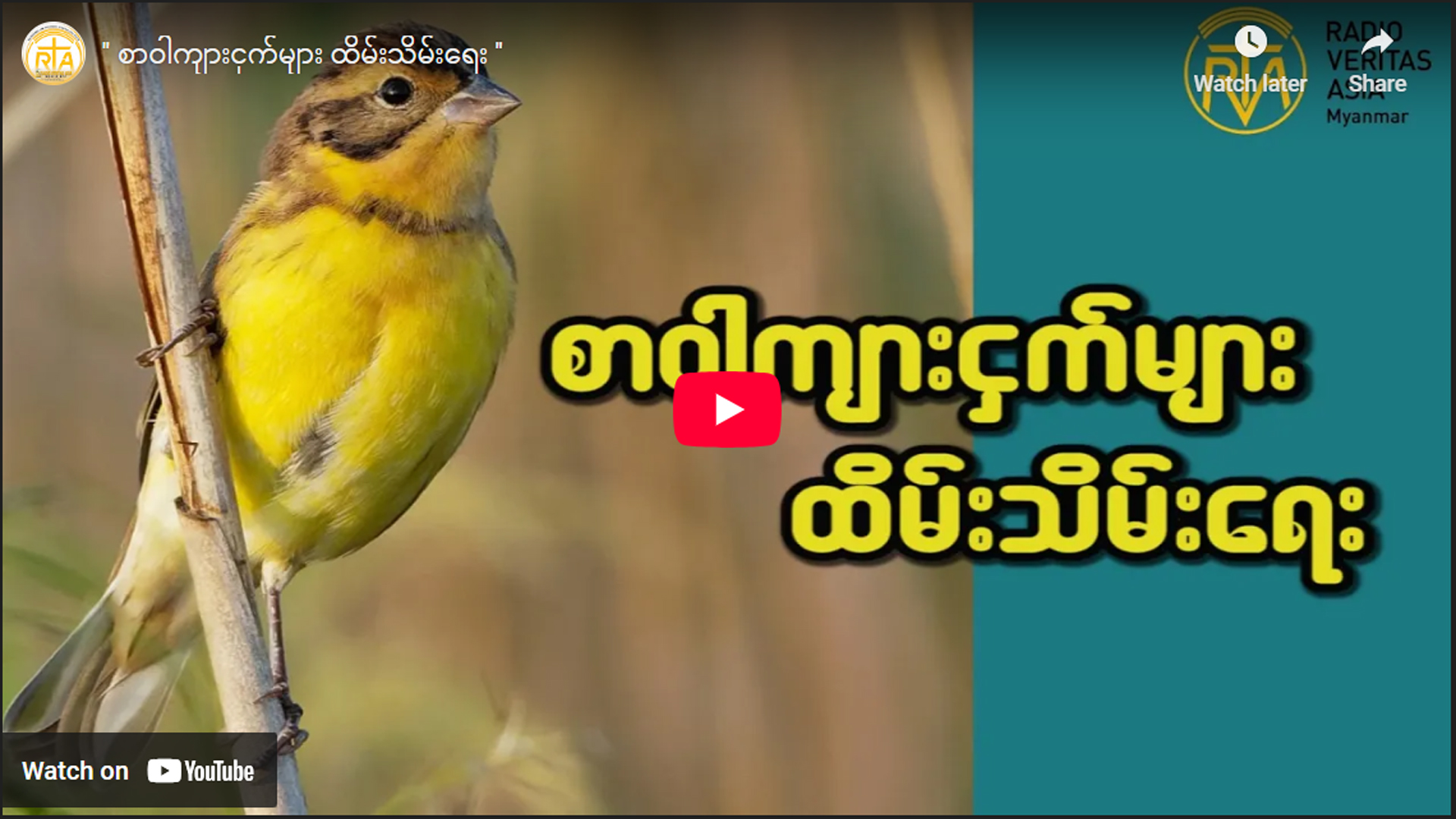 စာဝါကျားငှက်များ ထိမ်းသိမ်းရေး