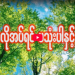 မလိုအပ်ရင် မသုံးပါနှင့်