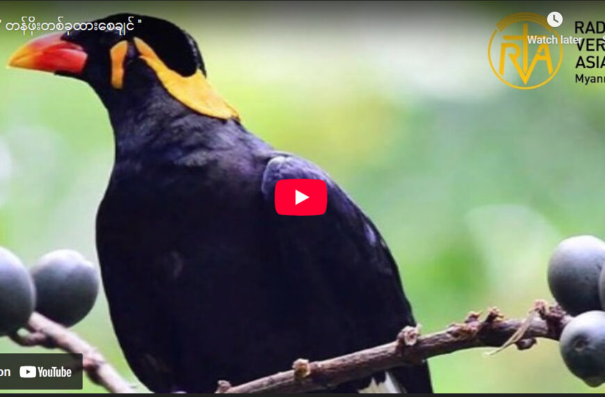 တန်ဖိုးတစ်ခုထားစေချင်