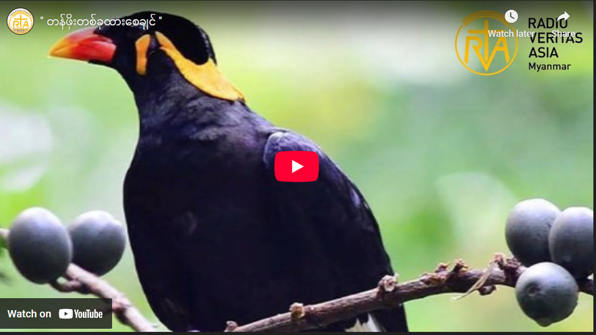 တန်ဖိုးတစ်ခုထားစေချင်