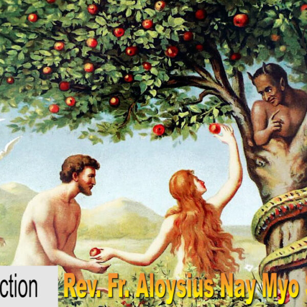 ဖာသာရ် Aloysius Nay Myo Swe (မန္တလေး) ဝါဝင်ပြီးနောက် သောကြာနေ့ဩဝါဒ ၇၊ ၃၊ ၂၀၂၅