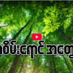 ” အစိမ်းရောင်အတွေး ”