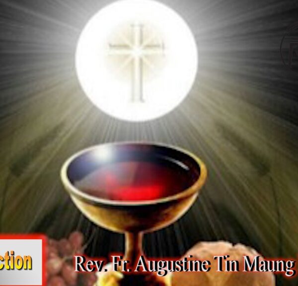 ဖာသာရ် Rev. Fr. Augustine တင်မောင်ထွန်း (မန္တလေး) အလွန်မွန်မြတ််သောကိုယ်တော်၏အသားတော်နှင့်အသွေးတော်ပွဲ တနင်္ဂနွေနေ့ ဩဝါဒ ၁၁၊ ၆၊ ၂၀၂၃