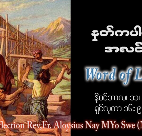 ဖာသာရ် Aloysius နေမျိုးဆွေ (မန္တလေး) ၃၁ ကြိမ်မြောက်သာမန် စနေနေ့ ဩဝါဒ ၁၁၊ ၁၁၊ ၂၀၂၃